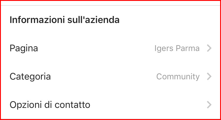 ottimizzare il profilo Instagram aziendale