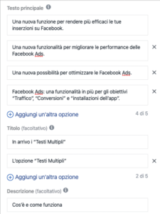opzione-testi-multipli-2
