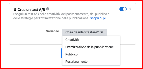 gestione-inserzioni-campagna