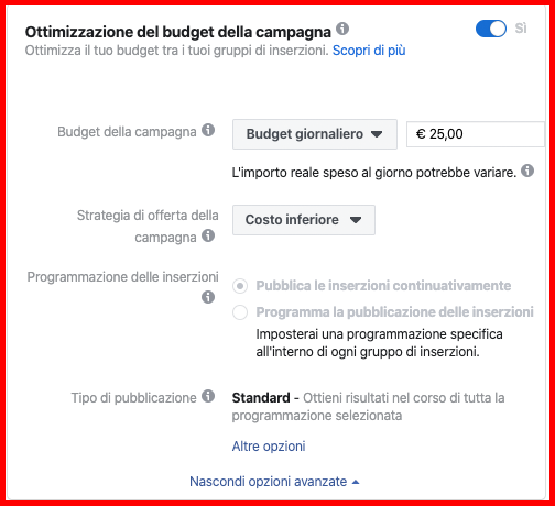gestione-inserzioni-budget-campagna